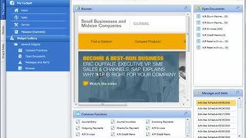 SAP BUSINESS ONE INTRODUCING NEW COCKPIT