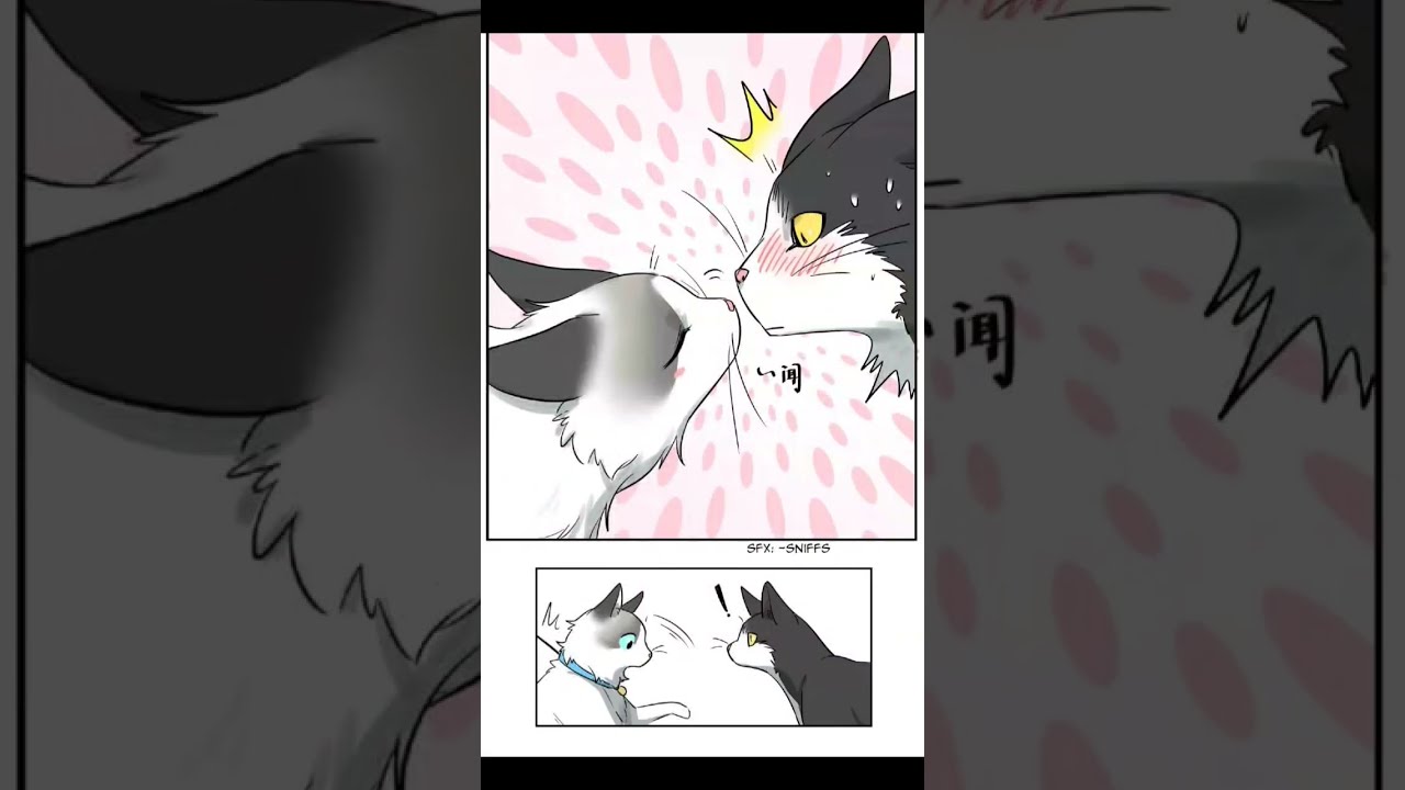 #yuri #gl #wlw #manga #manhua #manhwa #women #girls #love #beautiful #cute #cool #beauty #art