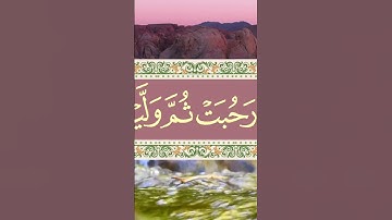 لقد نصركم الله في مواطن كثيرة أبو بكر الشاطري من سورة التوبة #القران_الكريم  نساعد بإنظمامكم لقناتنا