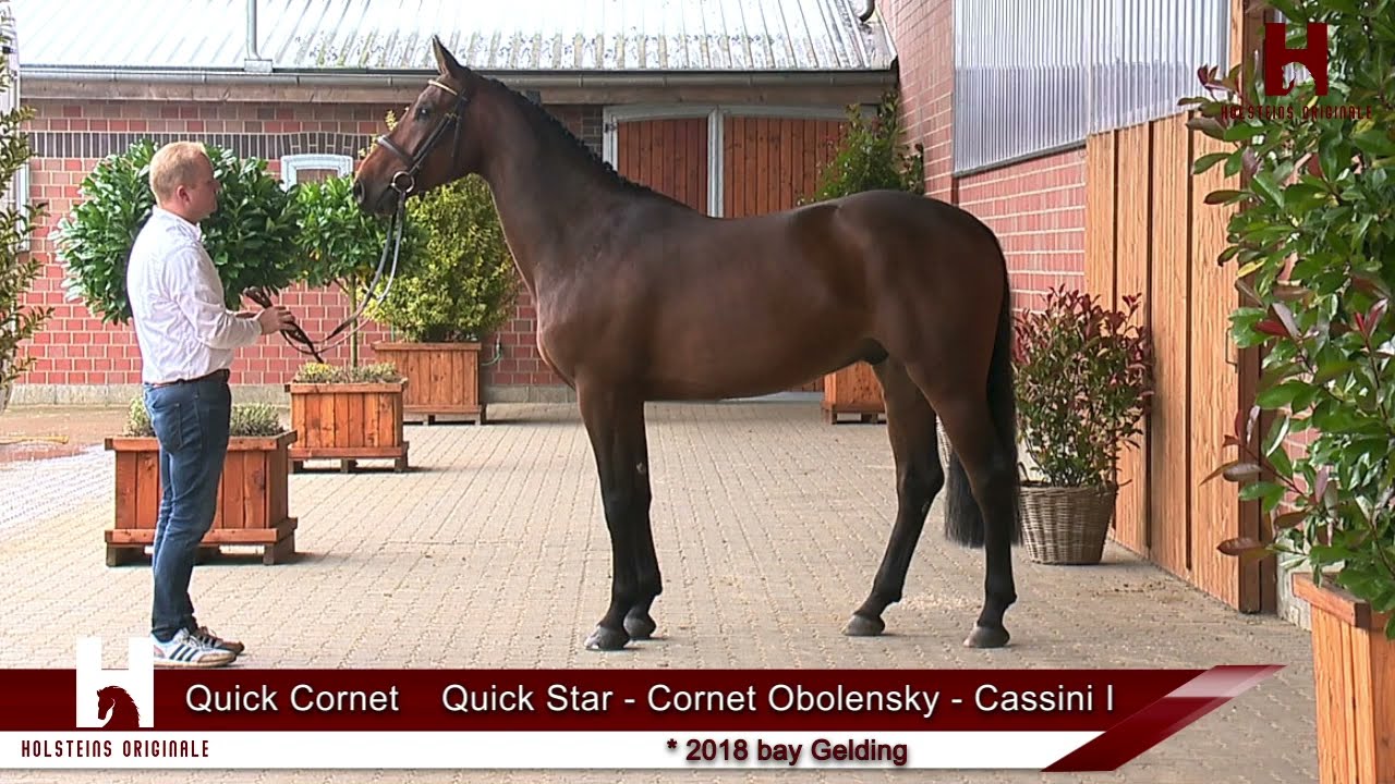 Catalog No.10 QUICK English YouTube