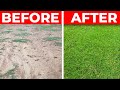 Grow Grass Fast - Cover 2 Acres with Bermuda Grass with 2 Pallets of Sod