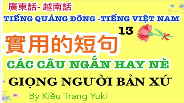 Tiếng Quảng Đông13 廣東話-越南話 các câu ngắn hay nè 實用的短句