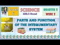 Integumentary System Quiz