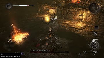 Level 1 No Rolling/sprinting/blocking/consumables Tachibana Muneshige