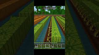 Minecraft watermelon  And Pumpkin Farming Complet💯% Work Farming #viral #trending #Minecraft #short