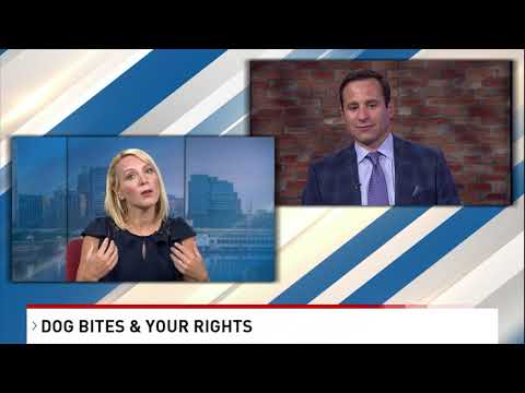 Dog Bites & Your Rights