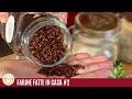FATTO IN CASA Farine Naturali un AIUTO per la SALUTE | #02 | Senza Glutine | Vivoglutenfree