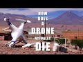 A lethal DJI Phantom Drone crash