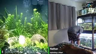 water changes ect