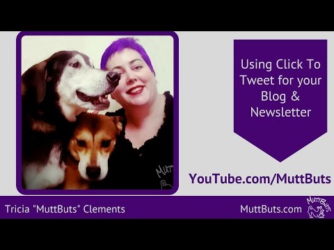 Click to Tweet – How to create click to tweet links