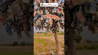 When a Guy Took Naswar and Started Seeing Money Everywhere 😂 | Funny Comedy Scene 💸#shortsfeed