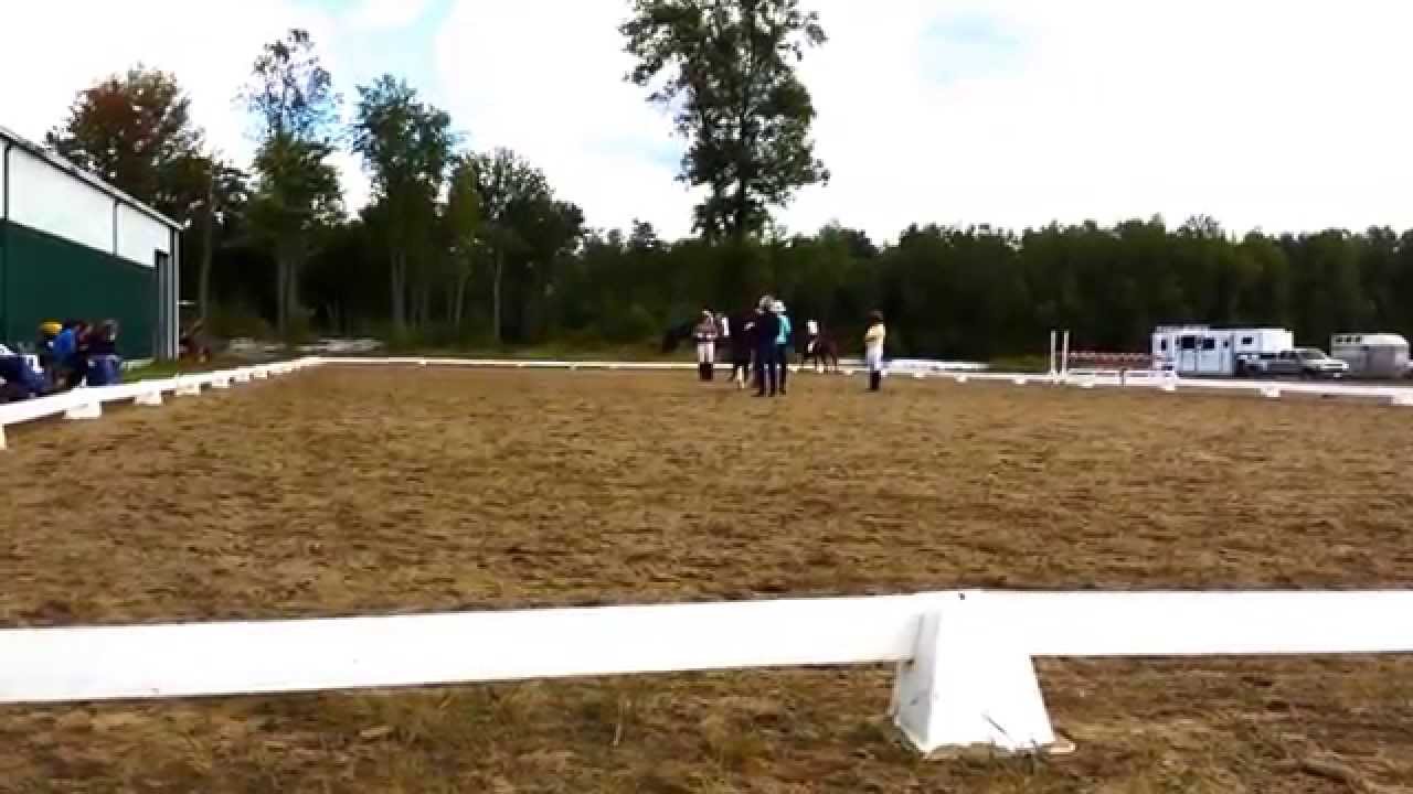 Walkyrie E. M. - www.equusmagnificus.ca