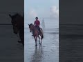 #equine #sports #dressage #shortvideo #viralgame