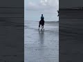 #equine #sports #dressage #shortvideo #viralgame