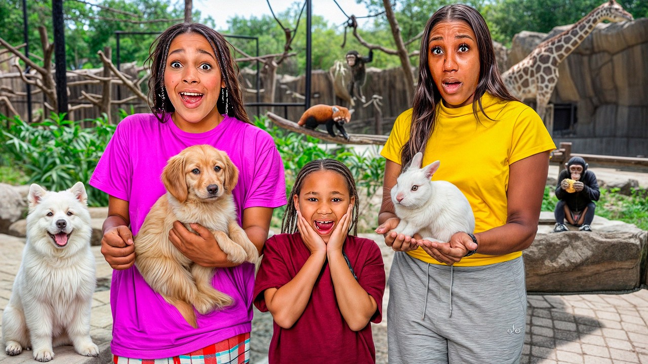 Наш дом официально является зоопарком..