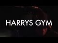 Harrys Gym - "Old Man"