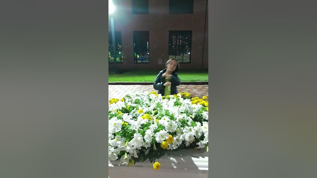 Внучка танцует - YouTube