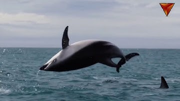 تلاوة خاشعة للمقرئ ناصر القطامي من سورة آل عمران