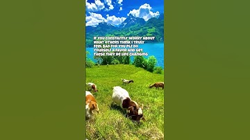 stop stressing link in bio now 🧘‍♀️ find your inner peace