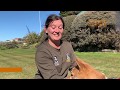 The dog that's protecting the South Georgia Islands