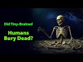 The Mystery of the Rising Star Cave: Did a Tiny-Brained Human Bury Its Dead?