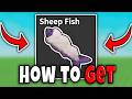 How to GET SHEEP FISH FAST in CATCH AND COOK FULL GUIDE Roblox