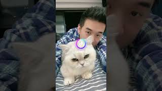 【#贝拉拉来了】316  一键开启ai世界 哈哈哈哈哈，我好爱你哟