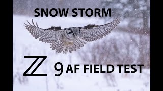 Nikon Z9 Autofocus AF Field Test in Snow Storm | Bird In Flight Photography