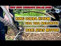 LAGI VIRAL ❗GARA GARA BUAT CINEMATIC MALAH K3NA HANT4M KING COBRA