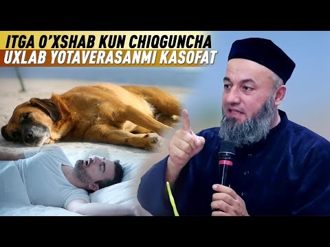 SOLIHON DOMLA || ИТГА ЎХШАБ УХЛАБ ЁТАВЕРАСАНМИ КАСОПАТ (СОЛИҲОН ДОМЛА)