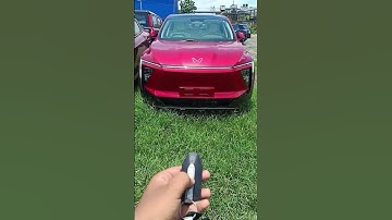 "Approach door unlock" - Mahindra XUV 9E #trending #automobile #XEV #viral