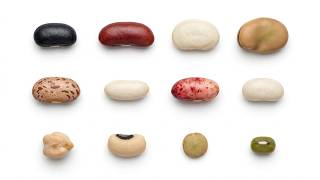 Every Bean Explained Ultimate Guide
