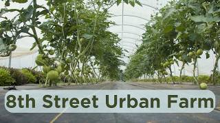 Farming with a Mission: 8th Street Urban Farm's Nonprofit Model