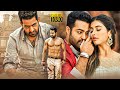 Idhu Ennoda Jilla Tamil Dubbed Action Full Length HD Movie | Jr. N. T. Rama Rao | Pooja Hegde