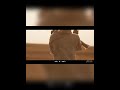 مدفون ابوها اليوم ونت فاطمة اكسبلور جعفر المطيري استشهاد الرسول محمد