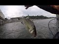 Catching Flathead Catfish On LIVE White Bass In VIOLENT Waters!