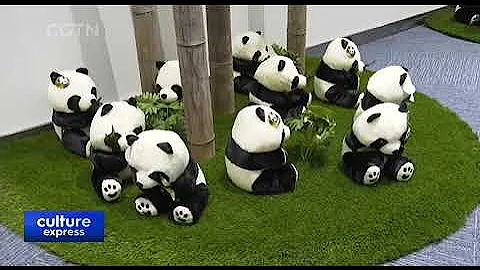 China and Saudi Arabia Pavilions Attract Visitors with High Tech