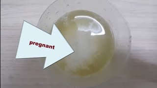 how to make homemade pregnancy test with salt -  pregnancy test with salt