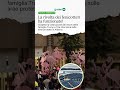 La rivolta dei fenicotteri ha funzionato!