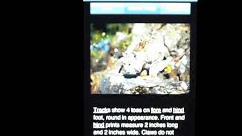 MyNature Animal Tracks Android App Demo [Dev]