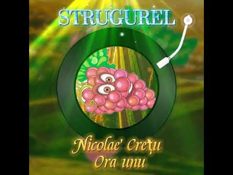 Nicolaie Cretu -