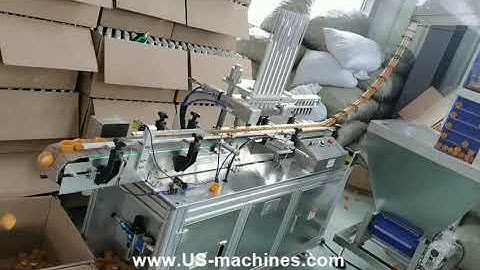 Automatic plastic cap wading machine bottle cap lining machine running video