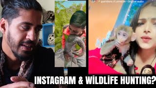 INSTAGRAM full of WILDLIFE SMUGGLERS? by Wildly Indian 22,617 views 3 months ago 12 minutes, 41 seconds