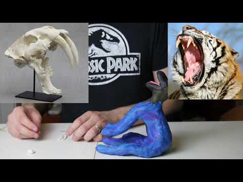 Sabertooth Tiger claymation Tutorial
