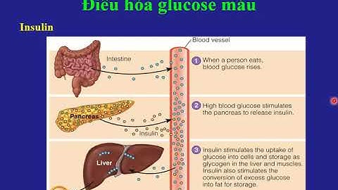 Rối loạn chuyển hóa Glucid (Y - Dược - RHM)