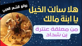 هلا سالت الخيل يا ابنة مالك | معلقة عنترة بن شداد ( مقطع) روائع الادب العربي |  شعر