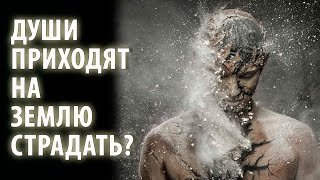 🎶Выбирает ли душа страдания❓