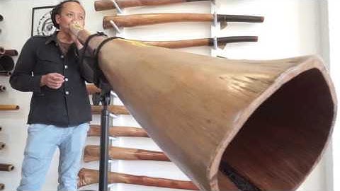 Jesse Lethbridge Didgeridoo key of E (#3479)