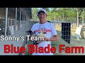 Lets Visit The Farm Of Blue Blade Farm