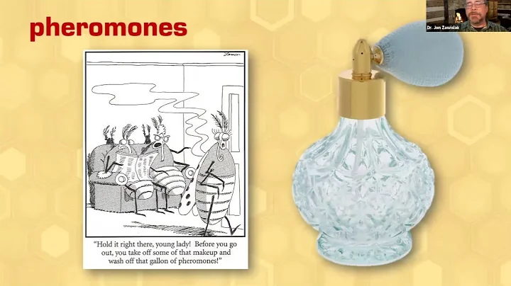 WAS Feb Mini 2023 - Honey Bee Pheromone Communication